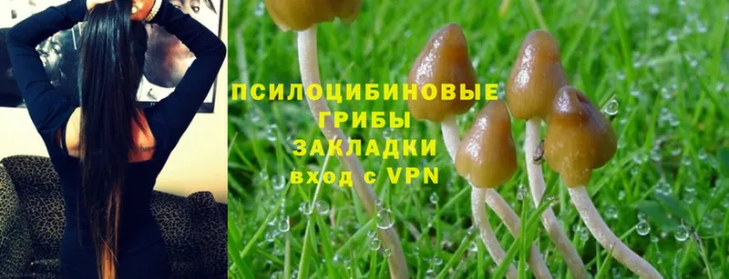 Галлюциногенные грибы GOLDEN TEACHER  Челябинск 